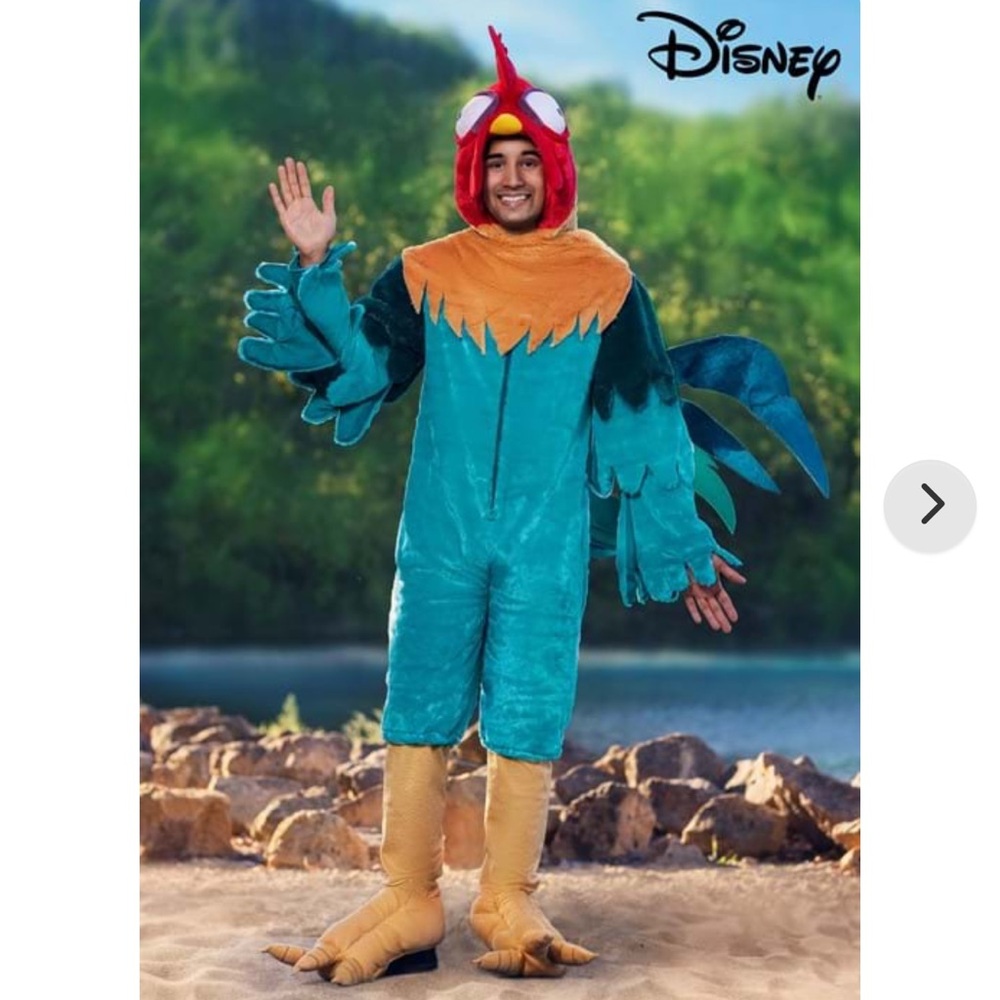 Disney Moana Hei Hei Costume